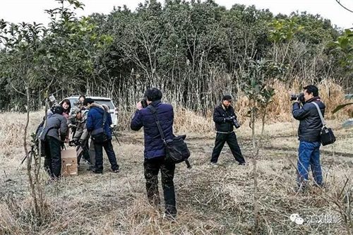 itb8888通博,湖南野生动物追踪,湖南卫星追踪器,湖南追踪器