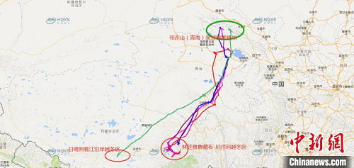 itb8888通博,湖南野生动物追踪,湖南卫星追踪器,湖南追踪器