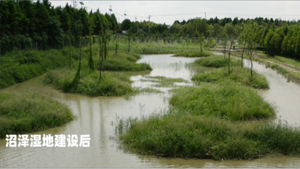 itb8888通博,湖南野生动物追踪,湖南卫星追踪器,湖南追踪器