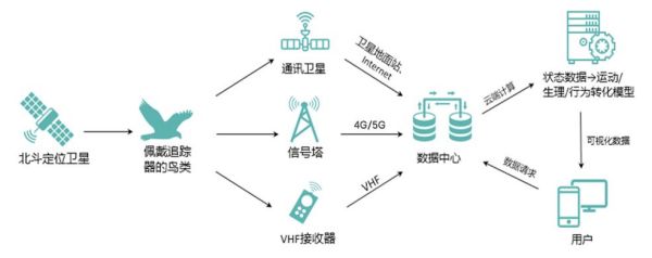 itb8888通博,湖南野生动物追踪,湖南卫星追踪器,湖南追踪器